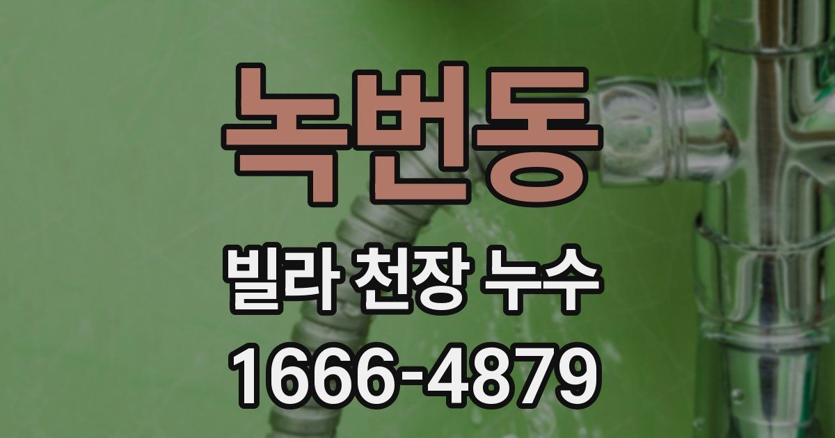 녹번동 빌라 천장 누수