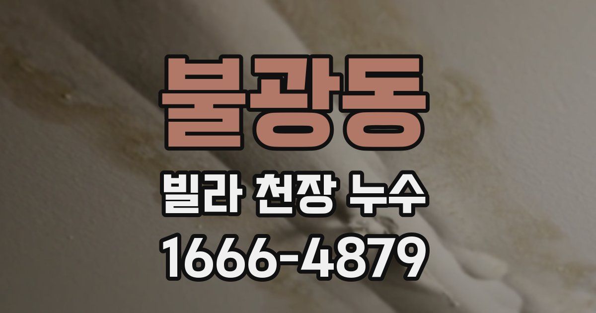 불광동 빌라 천장 누수