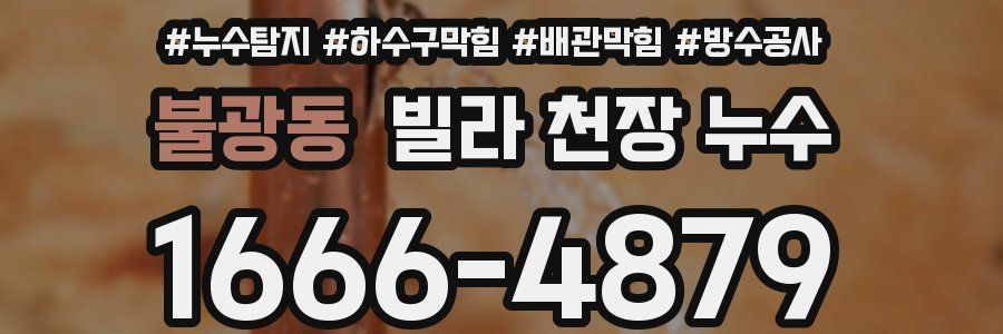 불광동 빌라 천장 누수