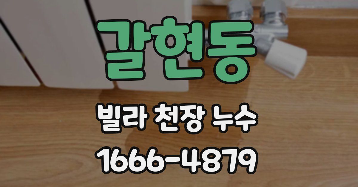 갈현동 빌라 천장 누수