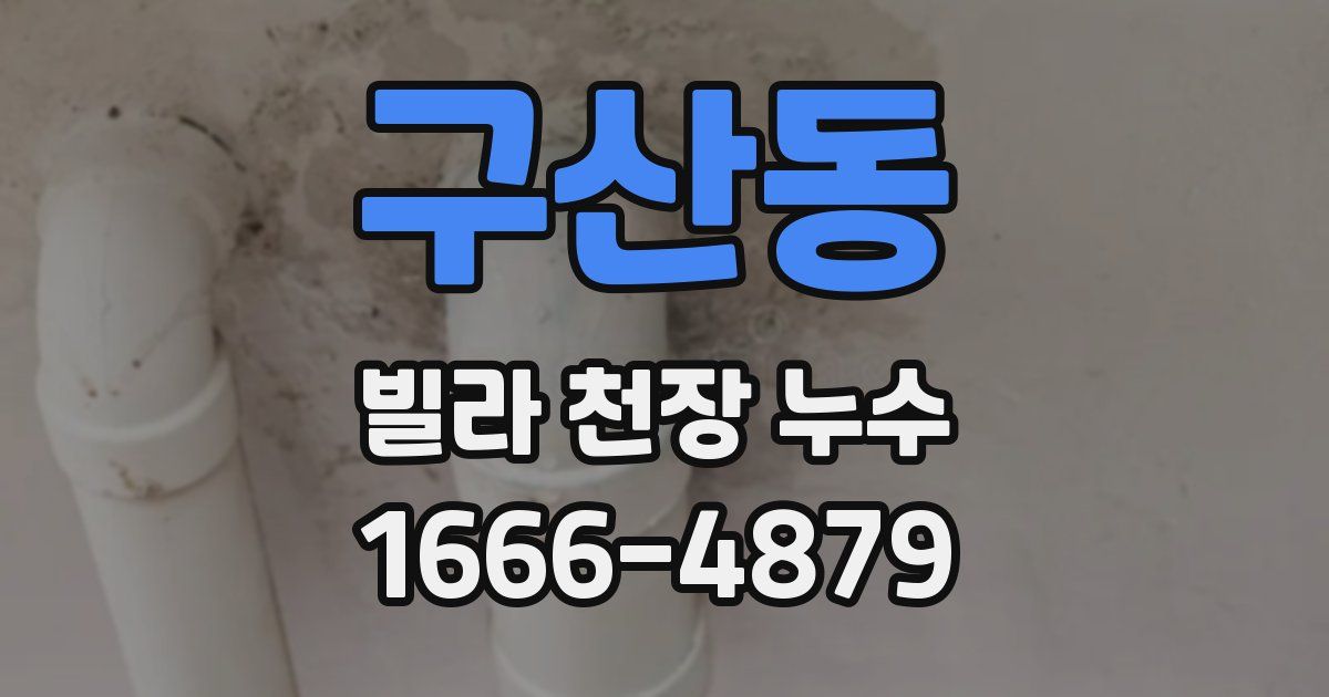 구산동 빌라 천장 누수