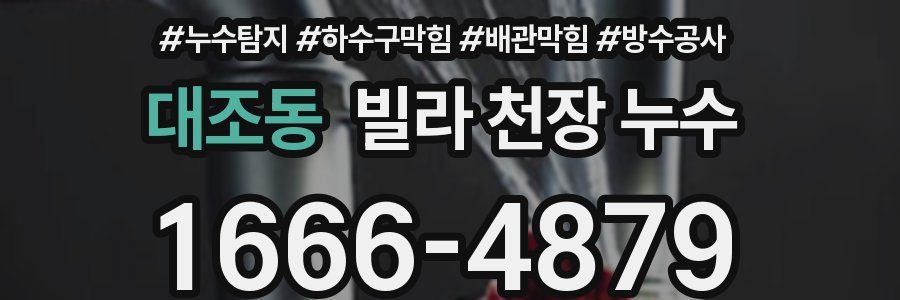 대조동 빌라 천장 누수