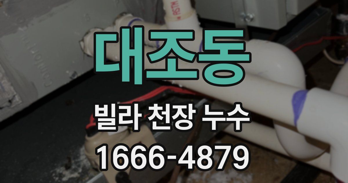 대조동 빌라 천장 누수