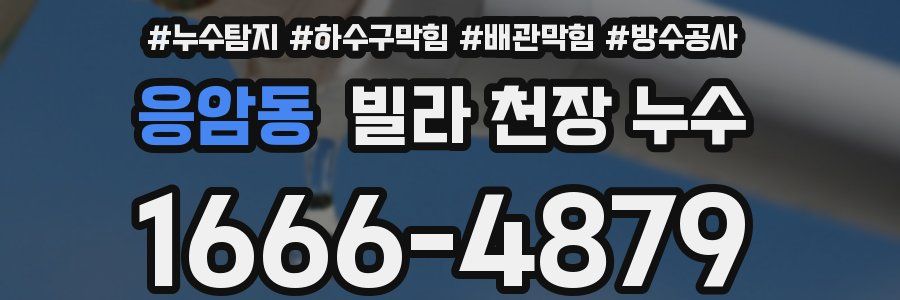 응암동 빌라 천장 누수