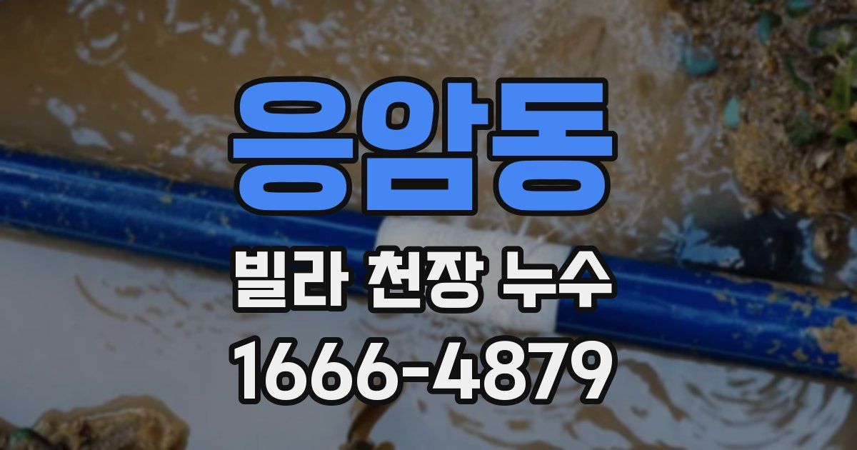 응암동 빌라 천장 누수