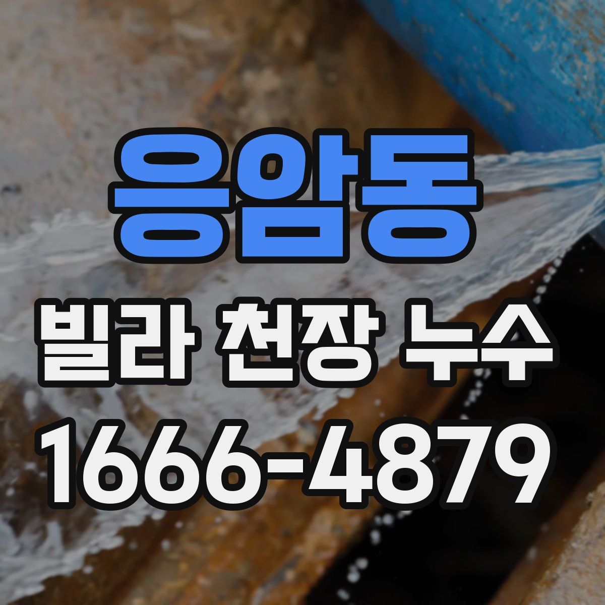 응암동 빌라 천장 누수