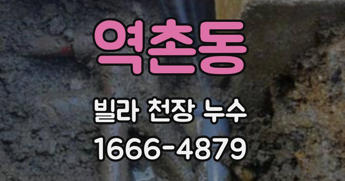 역촌동 빌라 천장 누수