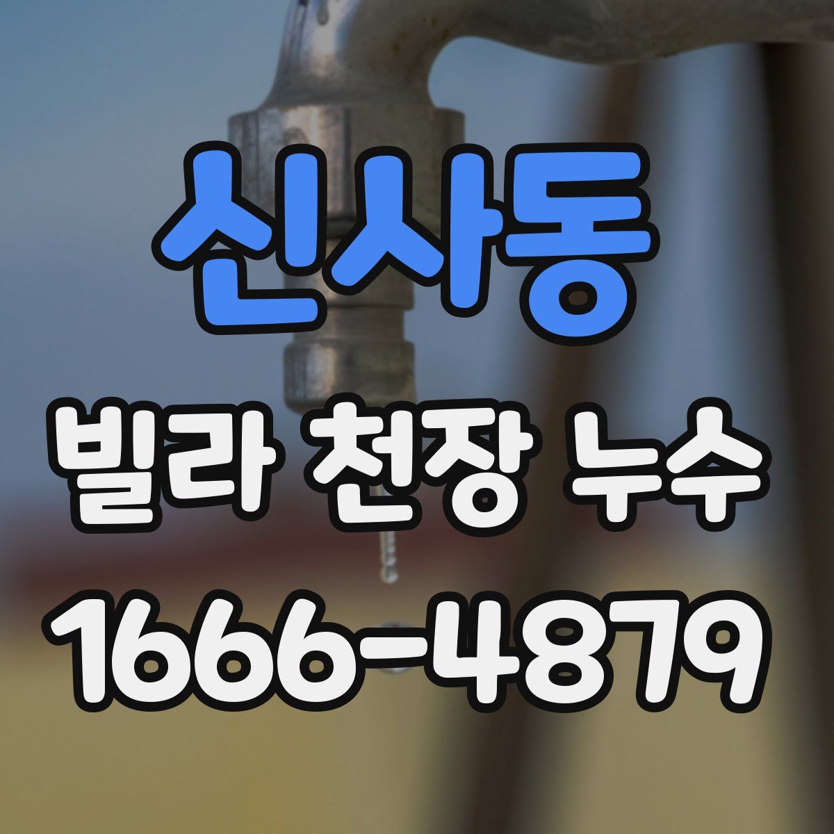 신사동 빌라 천장 누수