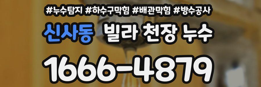 신사동 빌라 천장 누수