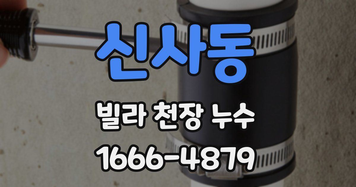 신사동 빌라 천장 누수