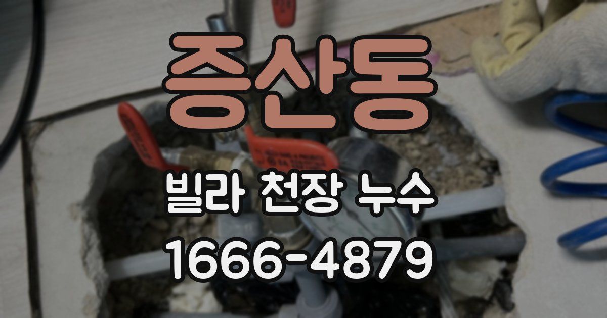 증산동 빌라 천장 누수