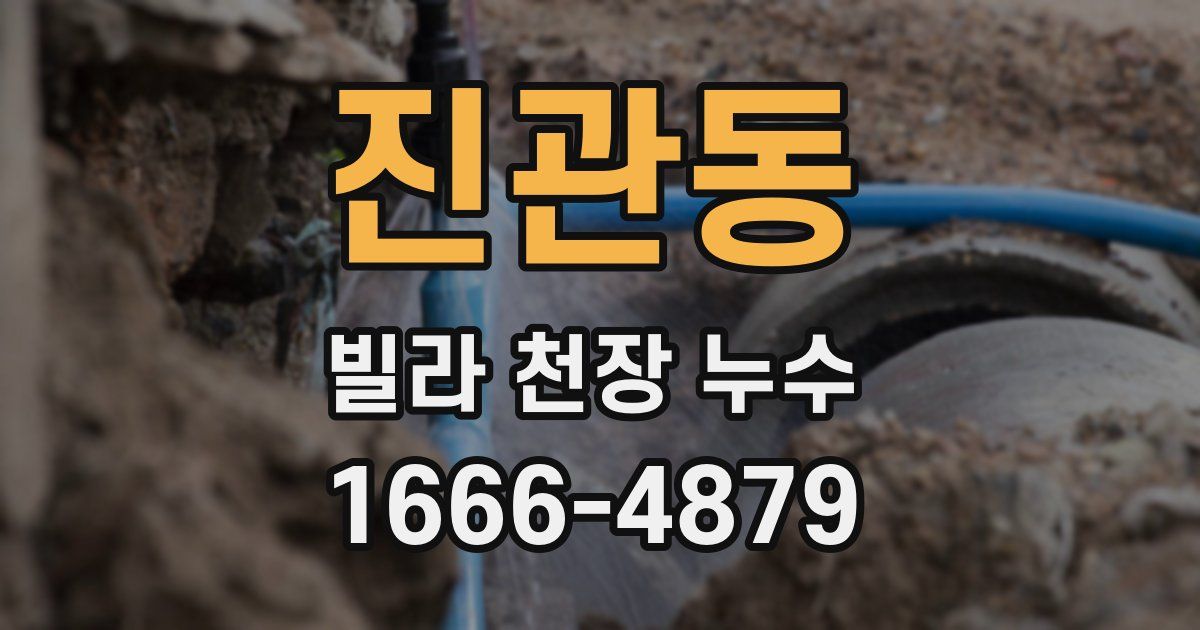 진관동 빌라 천장 누수
