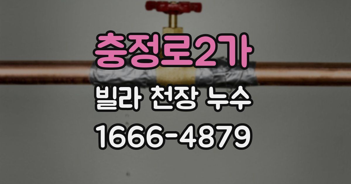충정로2가 빌라 천장 누수