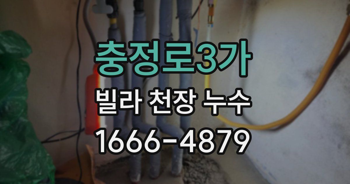 충정로3가 빌라 천장 누수