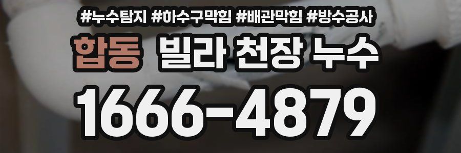 합동 빌라 천장 누수