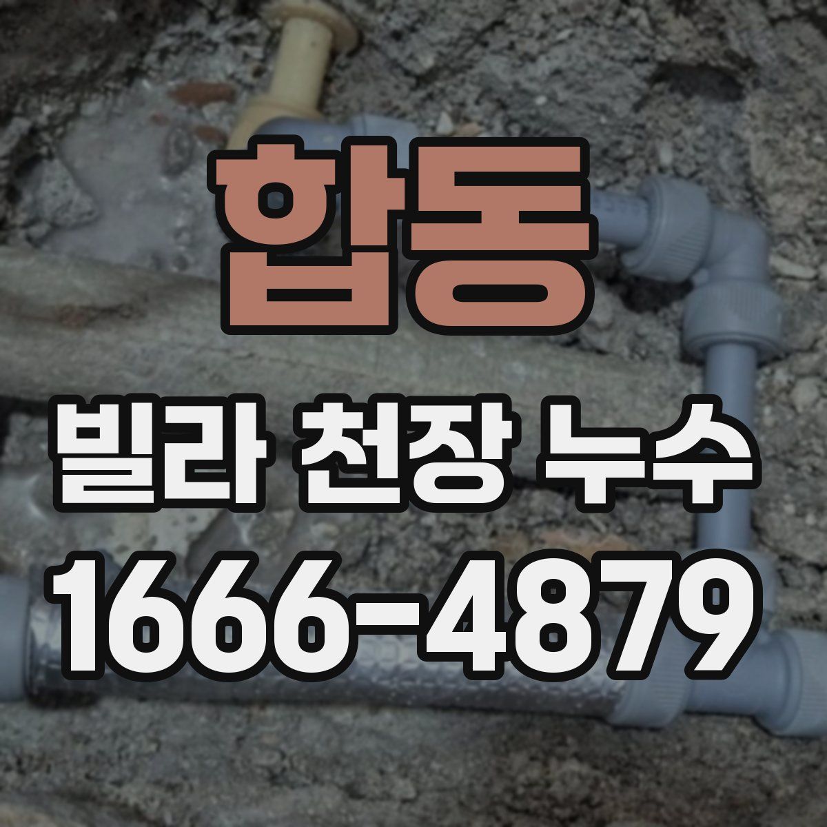 합동 빌라 천장 누수