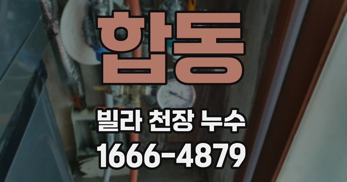 합동 빌라 천장 누수