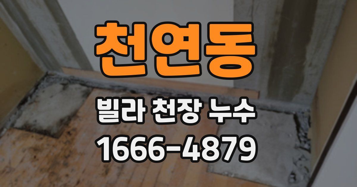 천연동 빌라 천장 누수