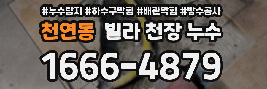 천연동 빌라 천장 누수