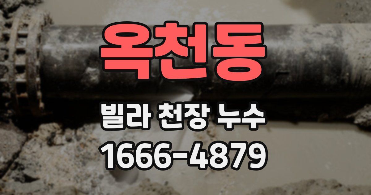 옥천동 빌라 천장 누수