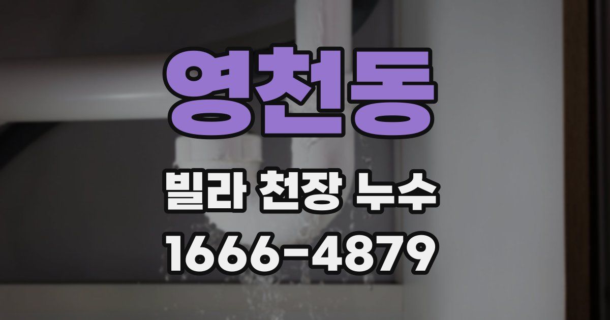 영천동 빌라 천장 누수