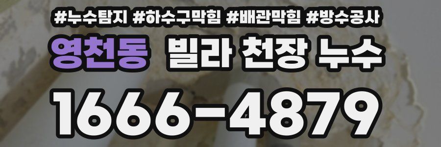 영천동 빌라 천장 누수