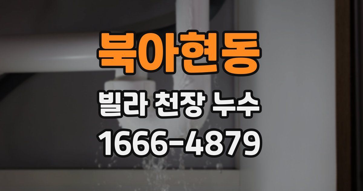 북아현동 빌라 천장 누수