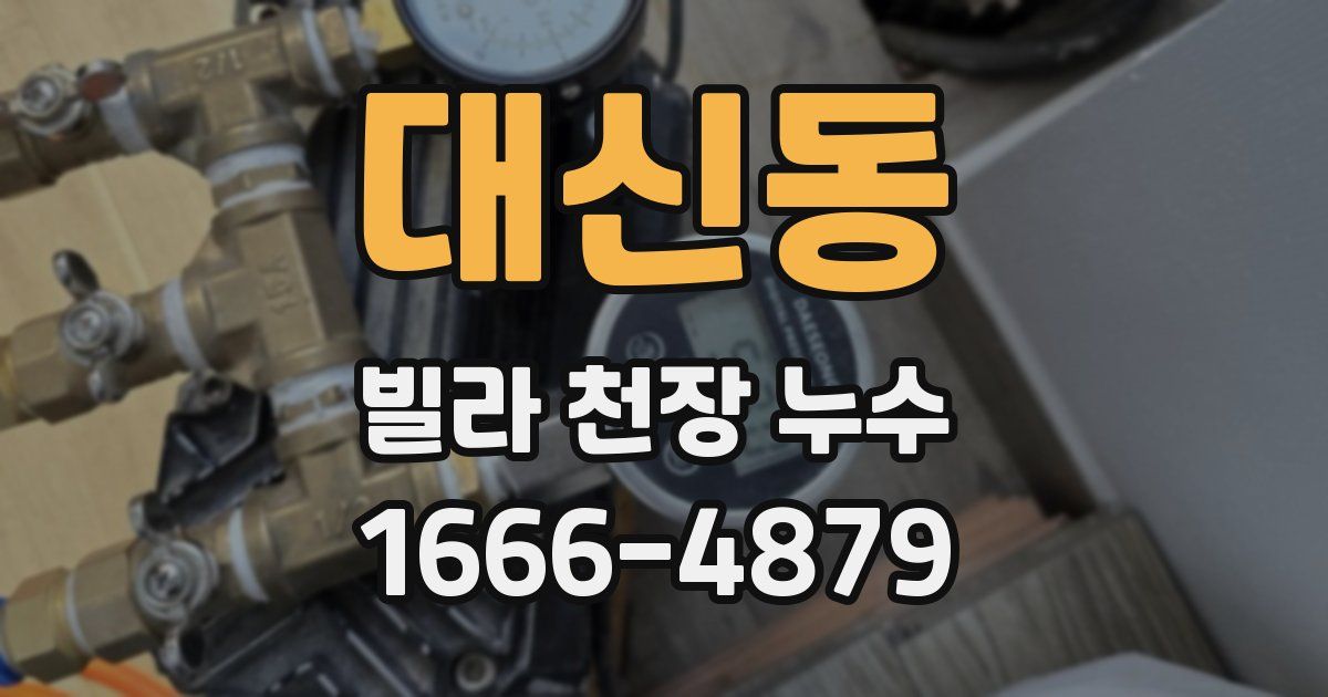 대신동 빌라 천장 누수