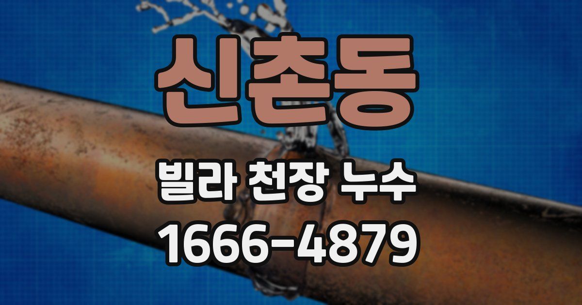 신촌동 빌라 천장 누수