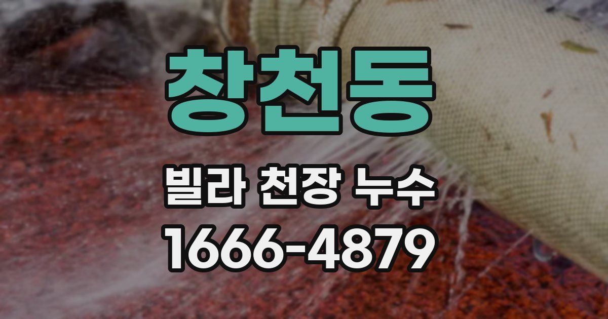 창천동 빌라 천장 누수