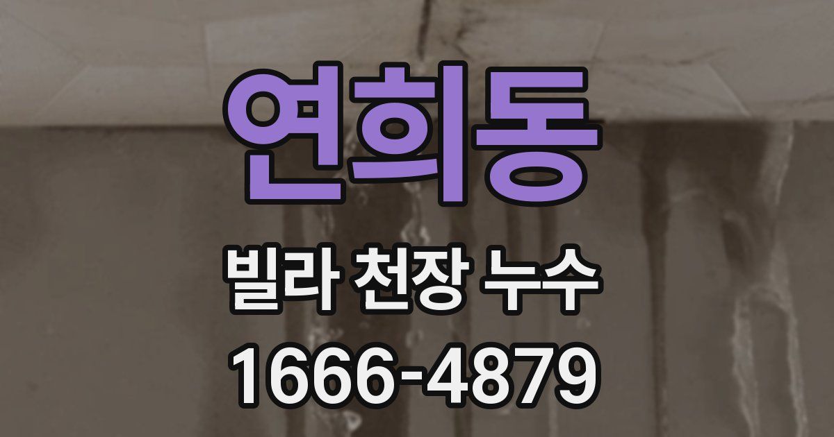 연희동 빌라 천장 누수