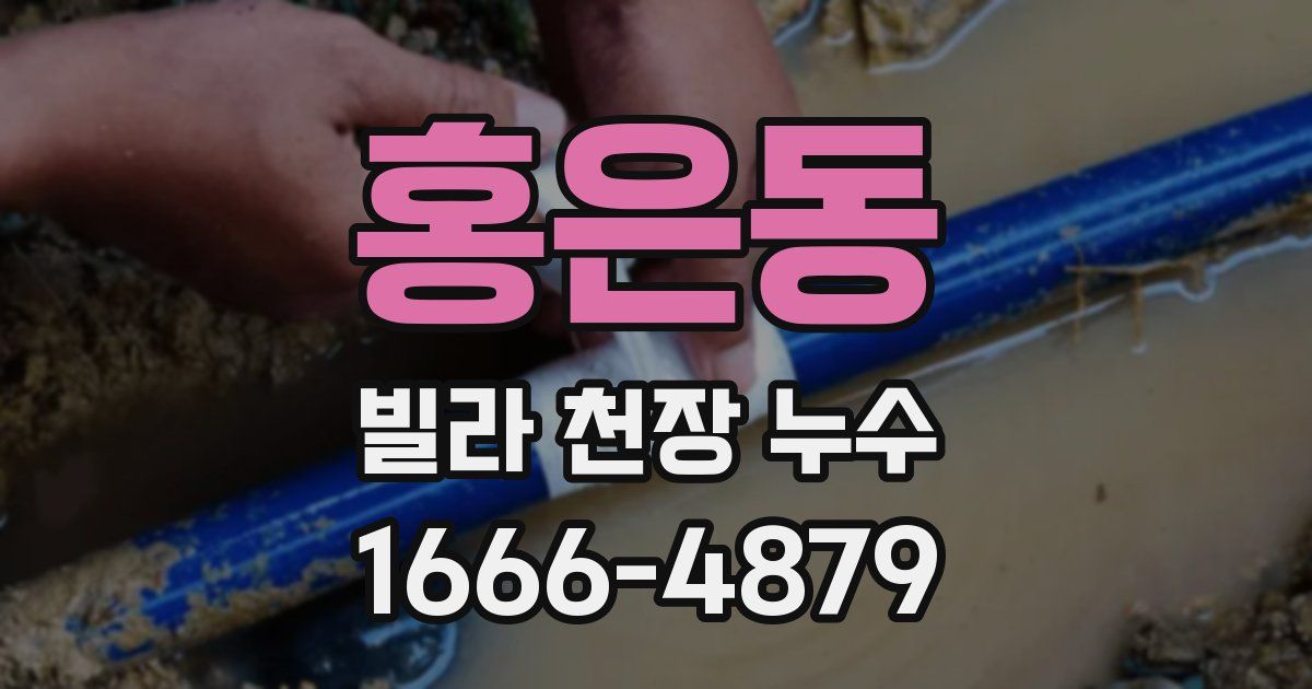 홍은동 빌라 천장 누수