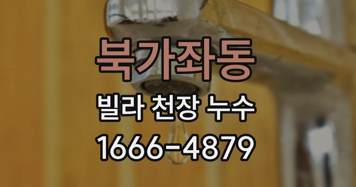 북가좌동 빌라 천장 누수
