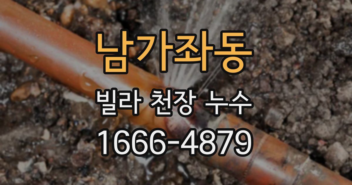 남가좌동 빌라 천장 누수