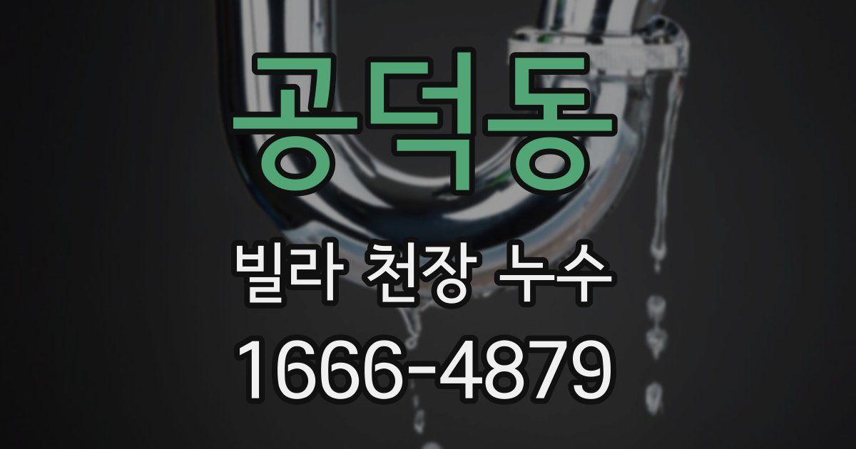 공덕동 빌라 천장 누수
