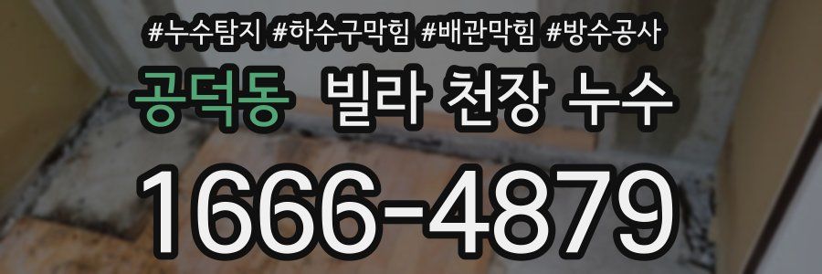 공덕동 빌라 천장 누수