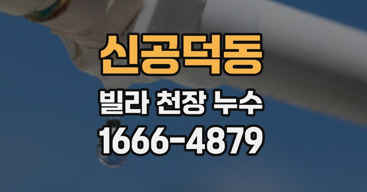신공덕동 빌라 천장 누수