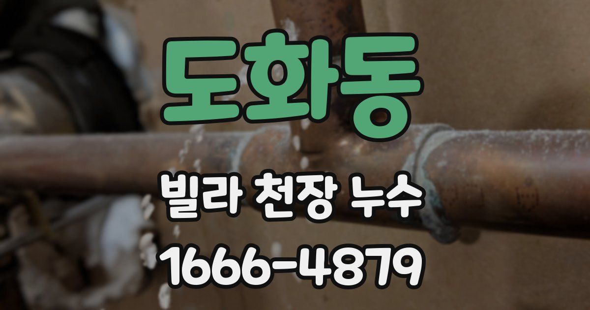 도화동 빌라 천장 누수