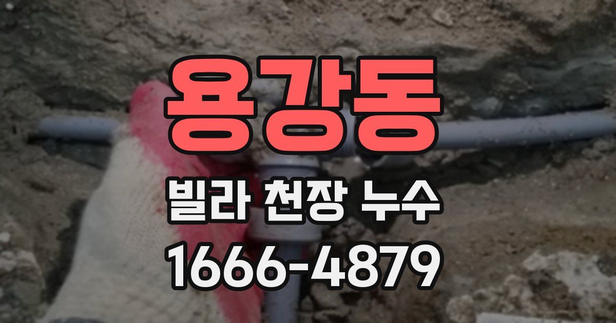 용강동 빌라 천장 누수