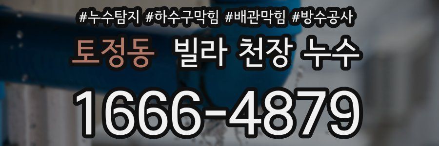 토정동 빌라 천장 누수