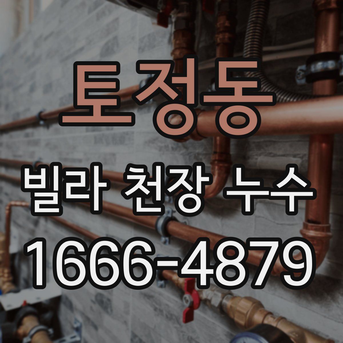 토정동 빌라 천장 누수