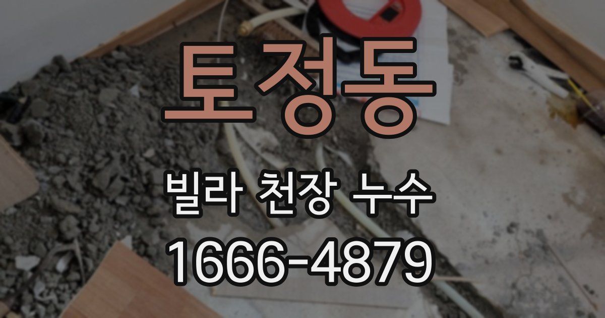 토정동 빌라 천장 누수