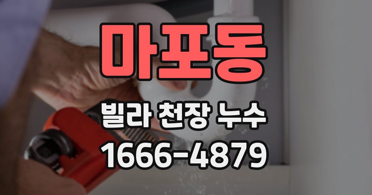 마포동 빌라 천장 누수