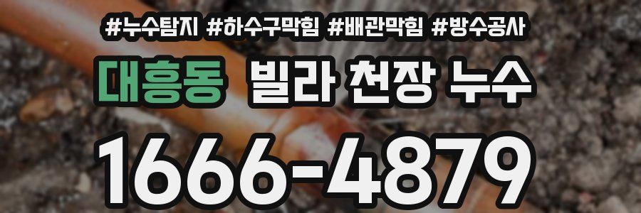 대흥동 빌라 천장 누수
