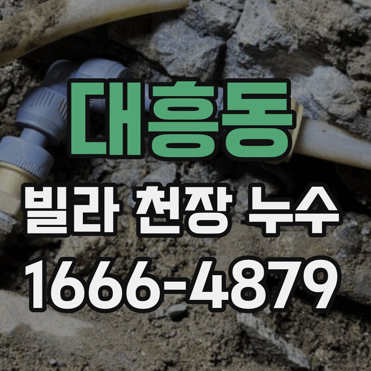 대흥동 빌라 천장 누수