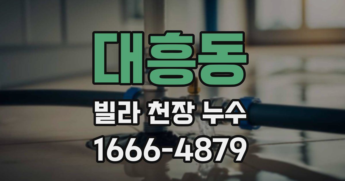 대흥동 빌라 천장 누수