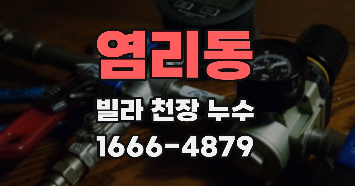 염리동 빌라 천장 누수