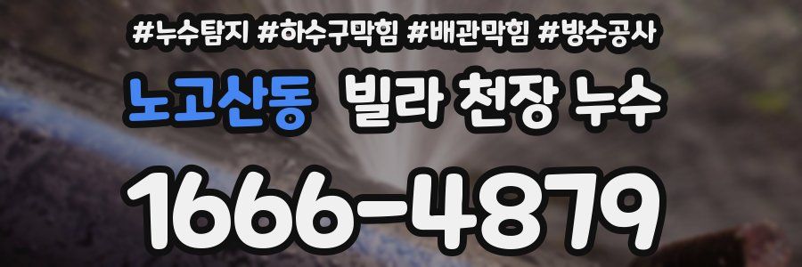 노고산동 빌라 천장 누수