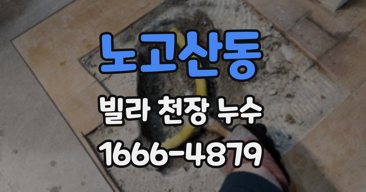 노고산동 빌라 천장 누수