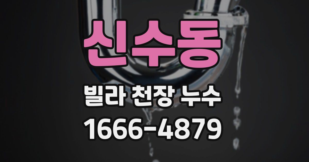 신수동 빌라 천장 누수